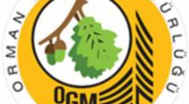 Orman İşletme Müdürlüğü Danışmanlık Hizmeti Alacak
