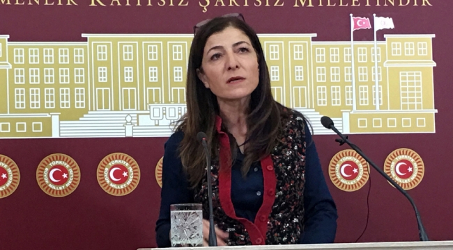 SENEMOĞLU KÖYÜ İÇİN SORU ÖNERGESİ VERİLDİ