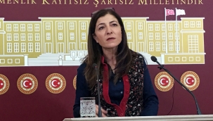 SENEMOĞLU KÖYÜ İÇİN SORU ÖNERGESİ VERİLDİ