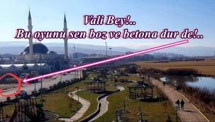 Vali bey bu oyunu sen boz ve betona dur de!