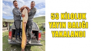 53 kiloluk yayın balığı yakalandı