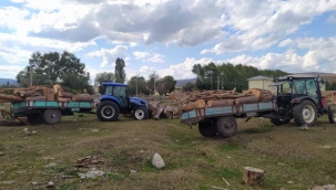 Ardahan'da kaçak ağaç keserken yakalanan 2 zanlı hakkında yasal işlem