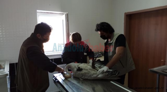 Vatandaşlarca yaralı bulunan turna tedaviye alındı