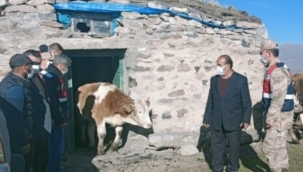 ARDAHAN'DA ÇALINIP KARS'TA BULUNDULAR!