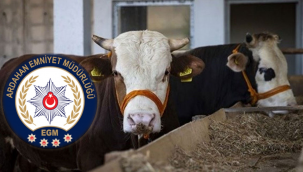 ASAYİŞ EKİPLERİ, 1 SAATTE BULDU!