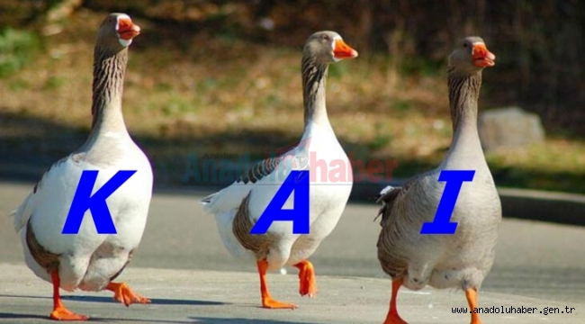KAI GÜNLERİNİN ONUR KONUĞU ARDAHAN DEĞİL, KARS KAZI!