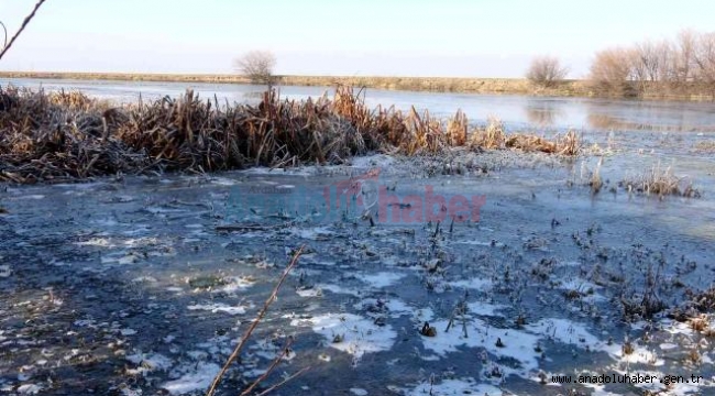 Kura Nehri yüzeyi buz tuttu