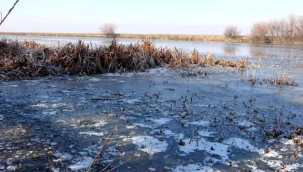 Kura Nehri yüzeyi buz tuttu