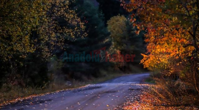 Posof'tan sonbahar manzaraları