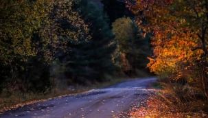 Posof'tan sonbahar manzaraları