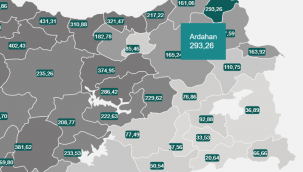 Vaka artışlarında Ardahan 28.Sırada