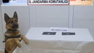'VERA', UYUŞTURUCUYA FIRSAT VERMİYOR!