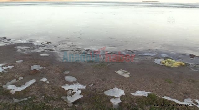 Aktaş Gölü'nde su seviyesi düştü!