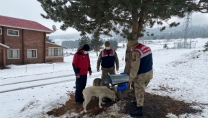 Jandarma, Onları Yalnız Bırakmıyor!