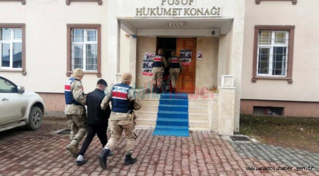 Jandarmada hayvan hırsızlarına geçit vermedi