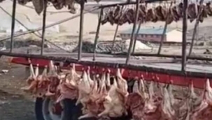 KAZ CİĞERİ ÖDÜL GETİRDİ!