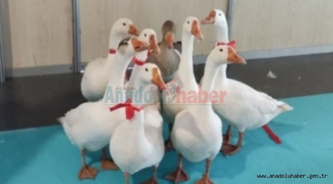 PODYUMUN KRALİÇESİ OLDU, 100 DOLARI KAPTI!