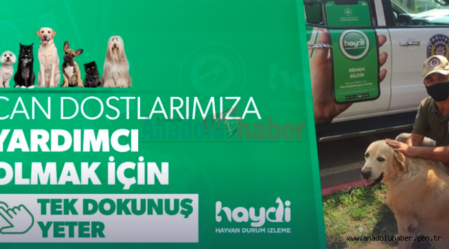 Tek Dokunuş Yeter!