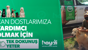 Tek Dokunuş Yeter!