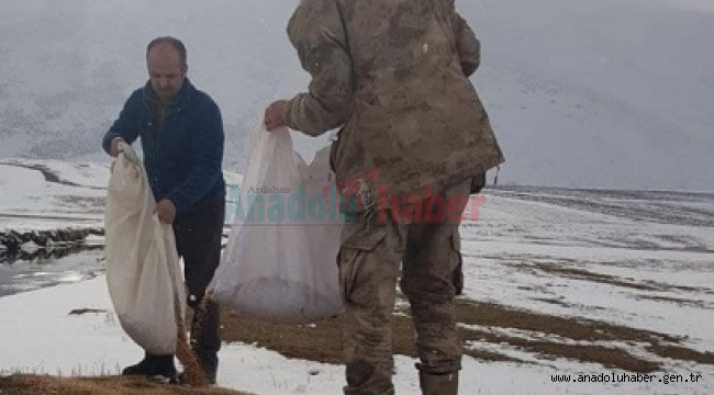 Yaban hayvanları için doğaya yem bıraktılar