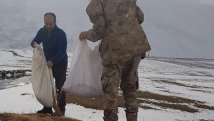 Yaban hayvanları için doğaya yem bıraktılar