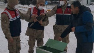 YARALI KUŞU ORTADA BIRAKMADILAR!