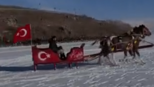 Altın At Kristal Buz Festivali