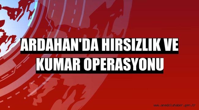 Ardahan'da hırsızlık ve kumar operasyonu