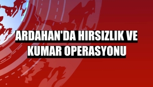 Ardahan'da hırsızlık ve kumar operasyonu