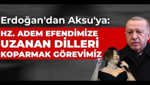 BİR DEĞİL, ARTİST HİÇ DEĞİL, 5 KEDİM VAR!