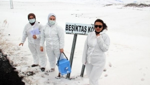 EV EV DOLAŞIP TARAMA YAPIYORLAR