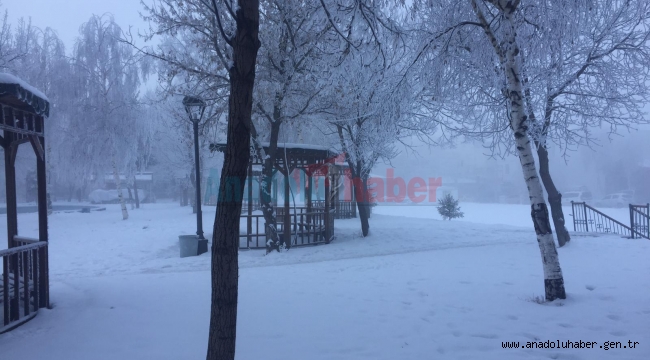 Kar, sis ve soğuk hava etkisini sürdürüyor