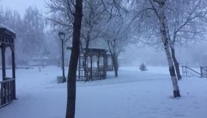 Kar, sis ve soğuk hava etkisini sürdürüyor