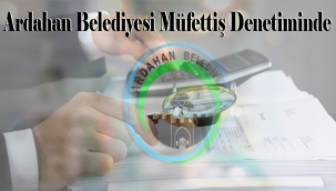 MÜFETTİŞLERİN DİKKATİNE!