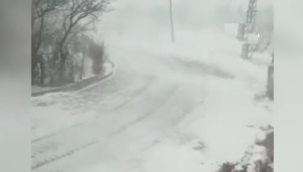 Posof'ta tipi hayatı olumsuz etkiliyor