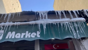 Soğuk hava yaşamı olumsuz etkiliyor.