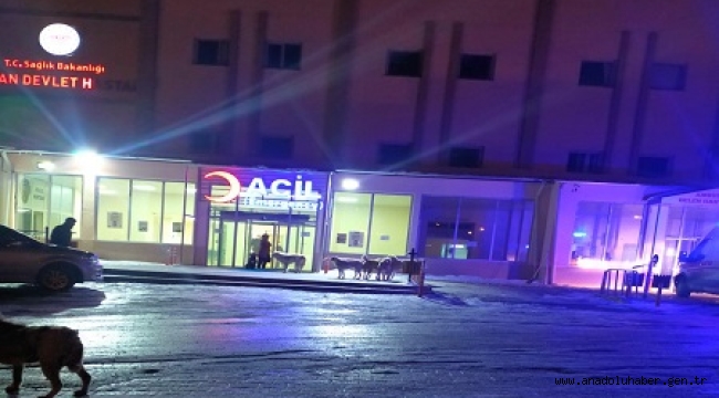 Hayvanseverler'den büyük tepki!