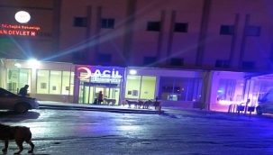 Hayvanseverler'den büyük tepki!