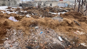 Yenimahalle sakinleri, hayvan gübrelerinin yol kenarlarına dökülmesinden dert yanıyor