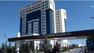 Tarım ve Orman Bakanlığı'nda 3 Genel Müdür Görevden Alındı