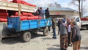 Tohum dağıtımı başladı!