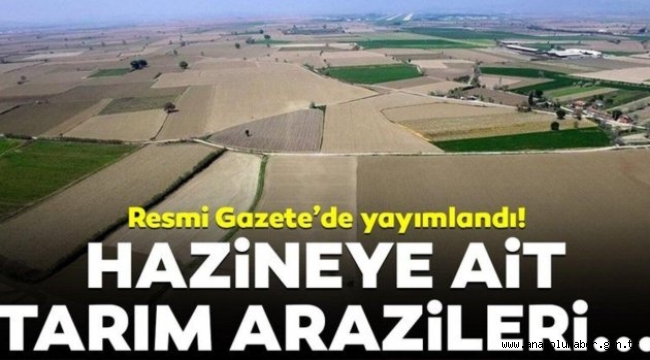 YAYLALARDAN SONRA ŞİMDİ DE ARAZİLER SATILACAK