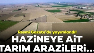 YAYLALARDAN SONRA ŞİMDİ DE ARAZİLER SATILACAK