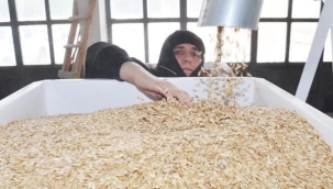 13 BİN YILLIK GIDANIN DEĞERİ YENİDEN ANLAŞILIYOR!