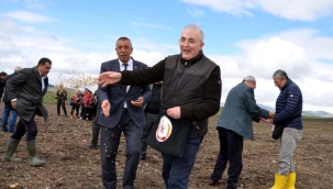 13 BİN YILLIK TOHUM TOPRAKLA BULUŞTU