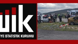 ARDAHAN'DA 136 TRAFİK KAZASI YAŞANDI!