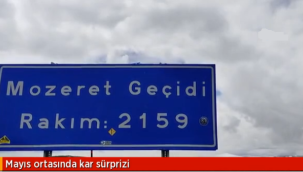 Ardahan'ın Çıldır ilçesinde yüksek kesimlerde kar yağışı etkili oldu