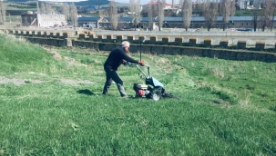 Kültür Müdürü Alantar: Kalede ki zararlı otları biçti