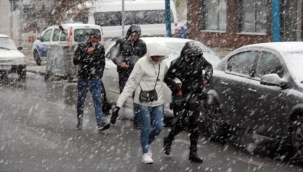 Lapa lapa yağan kar, kışı aratmadı
