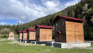 Posof'un ormanlar arasındaki bungalov evleri cezbedecek